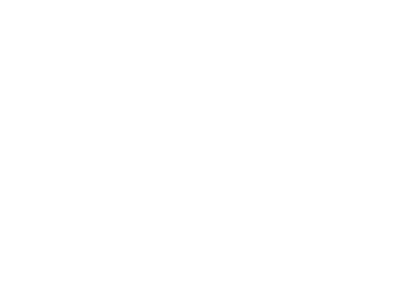 Logo-Finguru